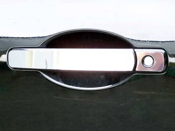 QAA - Nissan Rogue Select 2014-2015, 4-door, SUV (8 piece Stainless Steel Door Handle Accent Trim ) DH28535 QAA