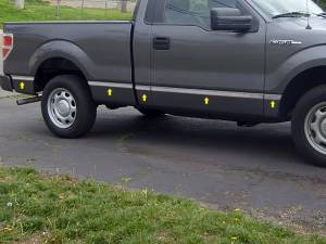 Ford F-150 2004-2008, 2-door, Pickup Truck, Regular Cab, 8' Bed, w/ Flares (10 piece Stainless Steel Body Molding Insert Trim Kit 1.5" Width ) MI44311 QAA