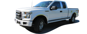 QAA - Ford F-150 2015-2020, 4-door, Pickup Truck, Super Cab, 6.5' bed (12 piece Stainless Steel Body Molding Insert Trim Kit 1.5" Width ) MI55302 QAA - Image 2