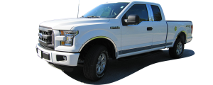 QAA - Ford F-250 & F-350 Super Duty 2017-2020, 4-door, Pickup Truck, Super Cab, Crew Cab (4 piece Stainless Steel Pillar Post Trim Does NOT include keyless touch pad ) PP55308 QAA - Image 2