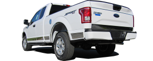 QAA - Ford F-150 2015-2017, 2-door, 4-door, Pickup Truck (1 piece Stainless Steel Tailgate Accent Trim 4" Width, with logo cut out ) RT55308 QAA - Image 4