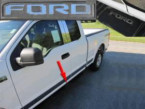 Ford F-150 2015-2017, 2-door, 4-door, Pickup Truck (8 piece Stainless Steel "FORD" Side Step Letter Inserts Set of Two ) SGR55308 QAA