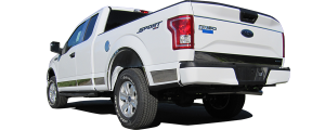 QAA - Ford F-150 2015-2020, 4-door, Pickup Truck, Super Cab, 6.5 bed (12 piece Stainless Steel Rocker Panel Trim, Upper Kit 4.5" Width Spans from the bottom of the molding DOWN to the specified width.) TH55302 QAA - Image 4