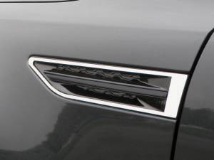 Kia Optima 2011-2015, 4-door, Sedan (2 piece Stainless Steel Porthole Accent Trim Surround Ring Only, No center strip ) PB11805 QAA