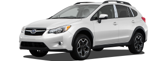 QAA - Subaru Crosstrek 2016-2020, 4-door, Crossover SUV (10 piece Stainless Steel Pillar Post Trim Includes the piece behind the front mirror ) PP13428 QAA - Image 2