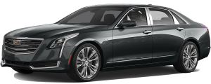 QAA - Cadillac CT6 2016-2020, 4-door, Sedan (4 piece Stainless Steel Pillar Post Trim ) PP56230 QAA - Image 2