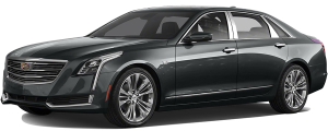 QAA - Cadillac CT6 2016-2020, 4-door, Sedan (6 piece Stainless Steel Pillar Post Trim ) PP56231 QAA - Image 2