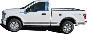 QAA - Ford F-150 2015-2020, 2-door, Pickup Truck, Regular Cab, 6.6' Bed (10 piece Stainless Steel Rocker Panel Trim, Upper Kit 4.5" Width Spans from the bottom of the molding DOWN to the specified width.) TH55308 QAA - Image 3