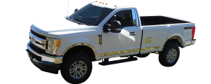 QAA - Ford F-250 & F-350 Super Duty 2017-2020, 2-door, Pickup Truck, Regular Cab, 8' Bed (10 piece Stainless Steel Rocker Panel Trim, Upper Kit 4.5" Width Spans from the bottom of the molding DOWN to the specified width.) TH57320 QAA - Image 3