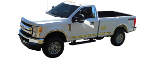QAA - Ford F-250 & F-350 Super Duty 2017-2020, 2-door, 4-door, Pickup Truck, Regular Cab, 8' Bed (1 piece Stainless Steel Tailgate Handle Accent Trim 1.188"Width Upper Accent Strip, No rear camera cut out.) LB57320 QAA - Image 3