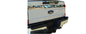 QAA - Ford F-250 & F-350 Super Duty 2017-2020, 2-door, 4-door, Pickup Truck, Regular Cab, 8' Bed (10 piece Stainless Steel SUPER DUTY Tailgate Letter Insert Rear ) SGR57320 QAA - Image 5