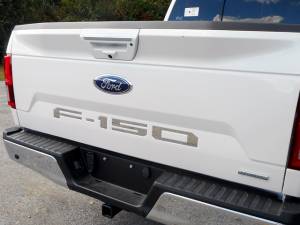 Ford F-150 2018-2020, 2-door, 4-door, Pickup Truck (5 piece Stainless Steel "F-150" Tailgate Letter Inserts ) SGR58308 QAA