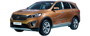 QAA - Kia Sorento 2016-2020, 4-door, SUV (1 piece Stainless Steel License Bar, Above plate accent Trim ) LB16820 QAA - Image 3