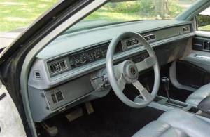 DashCare - Buick LeSabre Sedan 1987-1991 -  DashCare Dash Cover