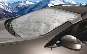 Intro-Tech Automotive - Intro-Tech Geo Metro (92-94) Windshield Snow Shade GO-21 - Image 2